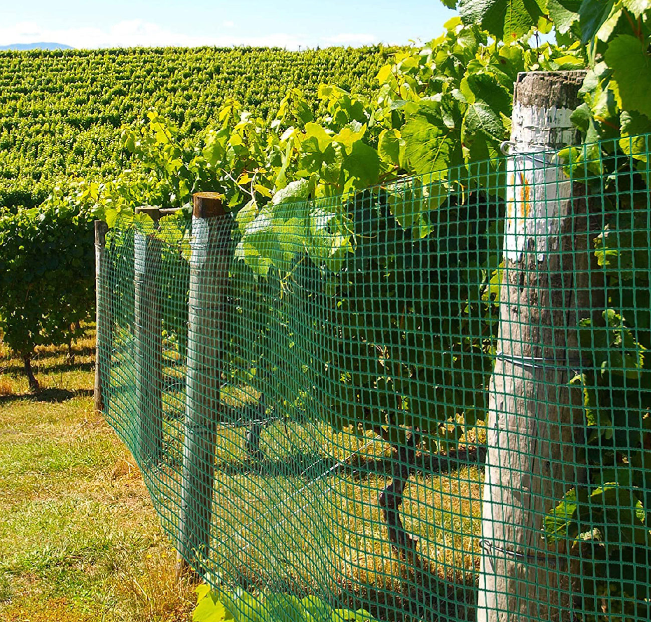 KOMBO Rete elettrosaldata in filo zincato/plastificato 5 mt x 0.6 mt