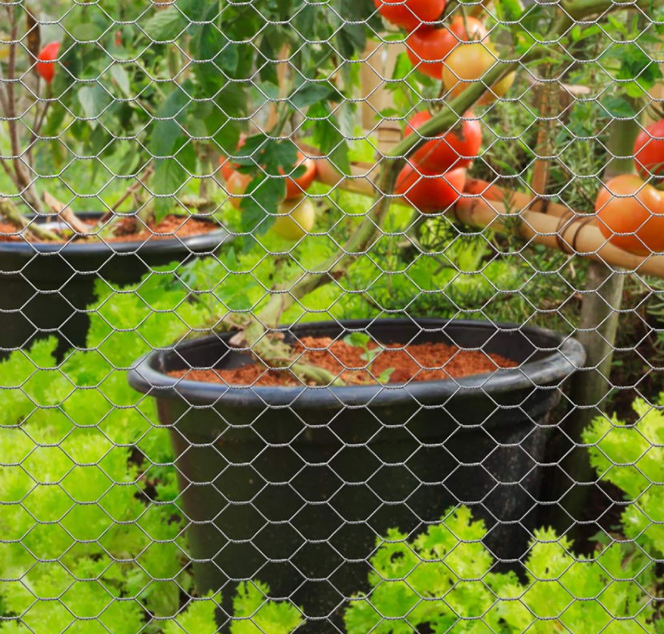 KOMBO Rete triplice torsione zincata 10 mt