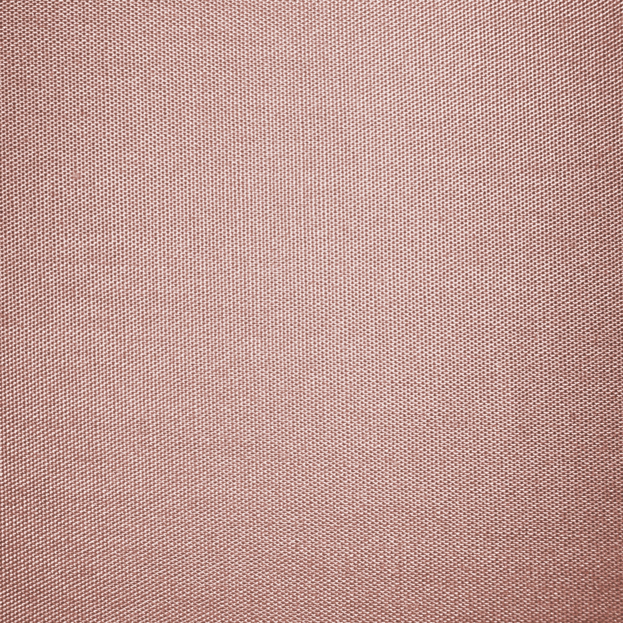 TESS HOME COLLECTION Federe in Puro Cotone Percalle (Set da 2)