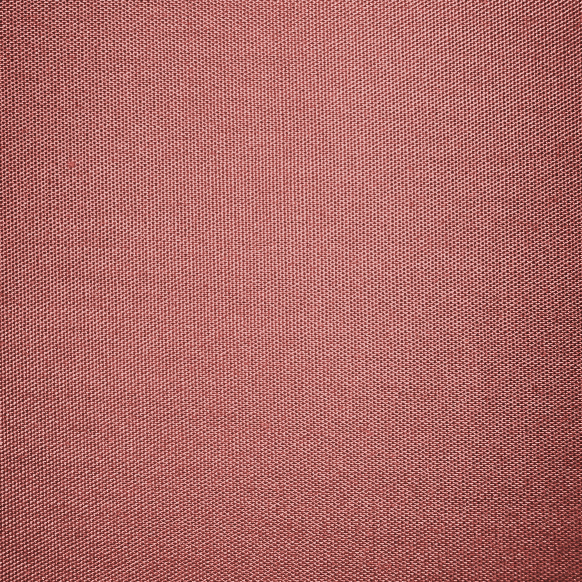 TESS HOME COLLECTION Federe in Puro Cotone Percalle (Set da 2)