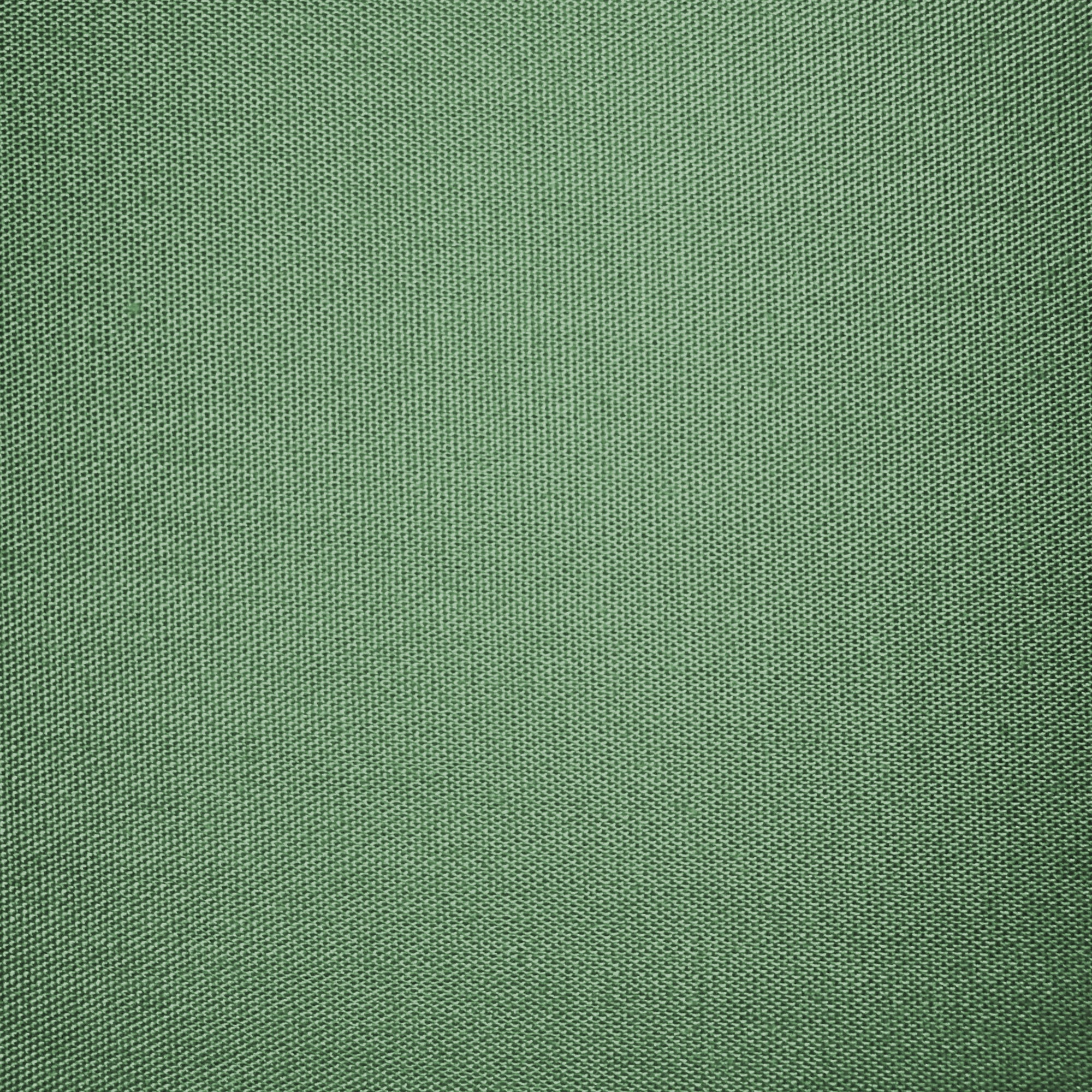 TESS HOME COLLECTION Federe in Puro Cotone Percalle (Set da 2)